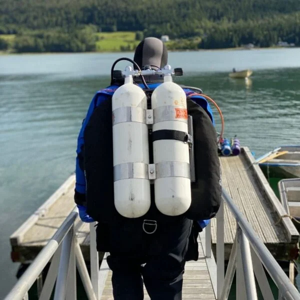 Course: Advanced Adventurer